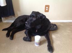 PawMedica Dog Probiotics & Digestive Enzymes Review