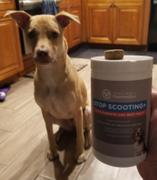 PawMedica Stop Scooting for Dogs Review