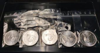 Bitgild 1 oz Krugerrand Silver Coin (2021) Review