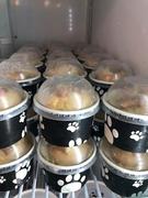 Frozen Dessert Supplies UNIQ® 4 oz Green Polka Dotty Ice Cream Cups Review