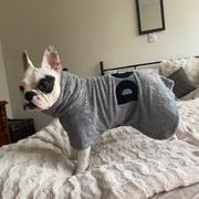 DOG By Dr Lisa DOG Wash Review