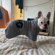 DOG By Dr Lisa DOG Wash Review