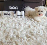 DOG By Dr Lisa Gift Box Review