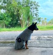 DOG By Dr Lisa DOG Poncho Review