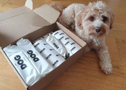 DOG By Dr Lisa DOG Travel Wipes Review