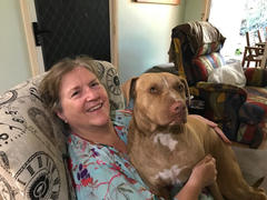DOG By Dr Lisa DOG by Dr Lisa Lick Mat - Free Review