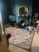 housecosy Maverick distressed persian rug, multi Review