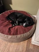 CordaRoy's 30 Forever Pet Beds Review