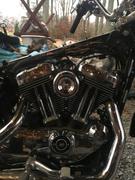 Lowbrow Customs Spark Plug- Harley Davidson Sportster / Softail / Roadglide / Dyna Models - Manufacturer Part #4164 Review