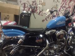 Lowbrow Customs Sporty 2-up - Horizontal Pleated - for '82 - '03 Sportsters Review