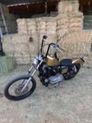Lowbrow Customs Sporty Solo - Diamond - for '82 - '03 Sportsters Review