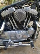 Lowbrow Customs Mesh Air Cleaner - Chrome - Harley-Davidson CV Carb Sportster and Big Twin Review