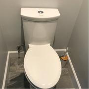 Whitehaus Collection Magic Flush Eco-Friendly One Piece Toilet with a Siphonic Action Dual Flush System, Elongated Bowl 1.3/0.9 GPF Review