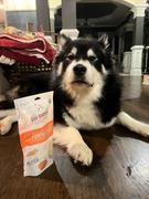 Dog Mamma's Organic Dog Treats Dog Mamma's Organic Pumpkin Snaps - USDA Organic Certified Dog Treats Review