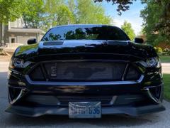 RTR Vehicles RTR Chin Spoiler (18-21 Mustang - Ecoboost & GT) Review