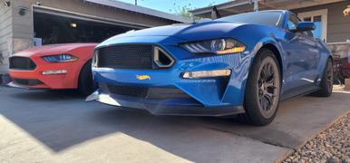 RTR Vehicles RTR Side Rocker Splitters (18-22 Mustang - All Models) Review