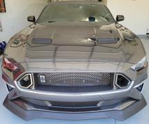 RTR Vehicles RTR Hood Vents (18-21 Mustang - GT & EcoBoost) Review