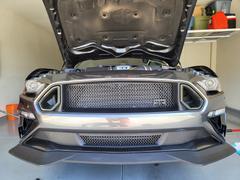 RTR Vehicles RTR Bumper Vents (18-22 Mustang - GT & EcoBoost) Review