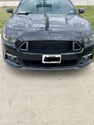 RTR Vehicles RTR Grille w/ LED Accent Vent Lights (15-17 Mustang - GT, EcoBoost, V6) Review