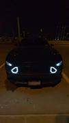 RTR Vehicles RTR Upper and Lower Grille w/ LED Accent Vent Lights (18-22 Mustang - GT & EcoBoost) Review