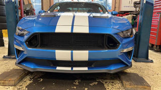 RTR Vehicles RTR Upper and Lower Grille w/ LED Accent Vent Lights (18-22 Mustang - GT & EcoBoost) Review