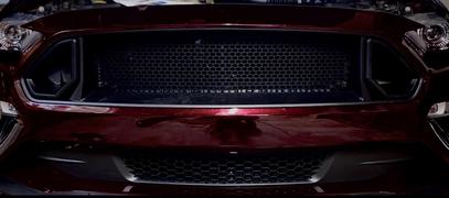 RTR Vehicles RTR Non-LED Upper Grille Only (18-23 Mustang - GT & EcoBoost) Review
