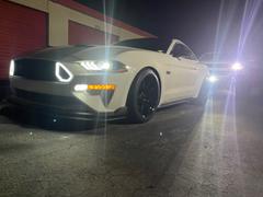 RTR Vehicles RTR Upper Grille with LED Lights (18-21 Mustang - GT & EcoBoost) Review