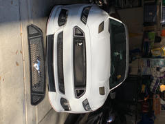 RTR Vehicles RTR Upper Grille w/ LED Accent Vent Lights (15-17 Mustang - GT, EcoBoost, V6) Review