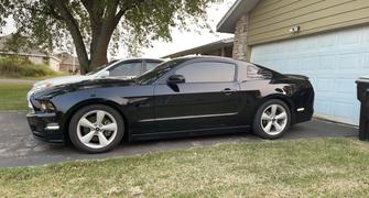 RTR Vehicles RTR Tactical Performance Lowering Springs (05-14 Mustang - GT Coupe, V6 Coupe) Review