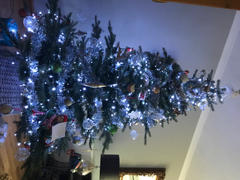 Mid Ulster Garden Centre Everlands Grandis Fir Christmas Tree 210cm / 7ft Review