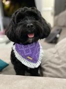 Boss & Olly Purple Puzzle Dog Bandana with tassels (LAST PIECE- SIZE S) Review
