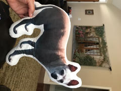 Custom Pals Personalized Pet Pillow Review