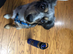 Custom Pals Personalized Sport Water Bottle Review