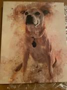Designed By Memories Pet Watercolor Painting Portrait Review