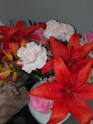 FLOWERFIX Our Florist's Pick Review