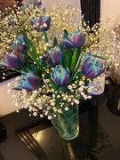 FLOWERFIX Blue Tulips Review
