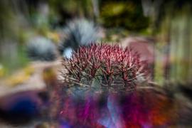 Lensbaby OMNI Color Expansion Pack Review