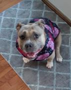 Tooth & Honey Dark Floral Lightweight Dog Vest Review