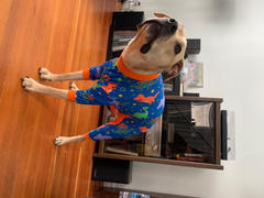 Tooth & Honey Dino Lightweight Dog Pajamas Review