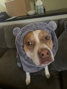 Tooth & Honey House Hippo Dog Robe Review