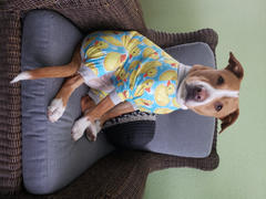 Tooth & Honey Rubber Ducky Dog Pajamas Review