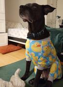 Tooth & Honey Rubber Ducky Dog Pajamas Review