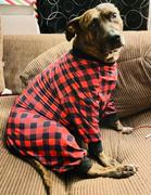 Tooth & Honey Lumberjack Dog Pajamas Review