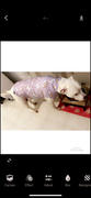 Tooth & Honey Purple Unicorn Lightweight Dog Vest Review