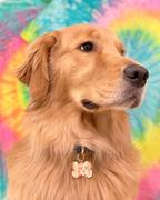 Packed Party Party Pup Dog Tag Review