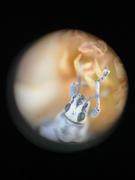 Nocs Provisions Inspector Microscope 4x Multiplier Lens Review