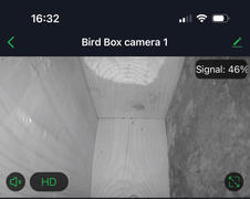Green Feathers WiFi Bird Box Camera (3rd Gen) Review