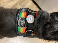 Joyride Harness Collar + Free Removable Bowtie (Solid Colors) Review