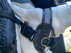 Joyride Harness Camo Dog Harness Review