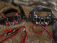 Joyride Harness Red Plaid Collar ( + free removable bowtie ) Review